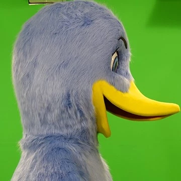 BLUE DUCK 7