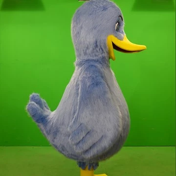 BLUE DUCK 9