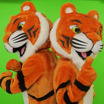 TIGER BROTHERS 4