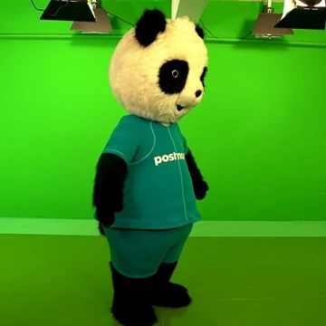 PANDA MASCOT 5