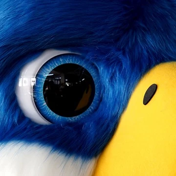 FALCON MASCOT 1
