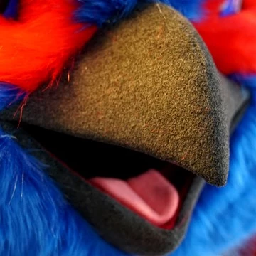 THE MOORHEN MASCOT 2