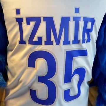 THE MOORHEN MASCOT 3