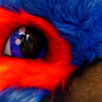 THE MOORHEN MASCOT 4