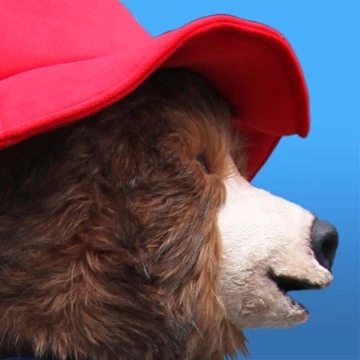 AYI - PADDINGTON 6